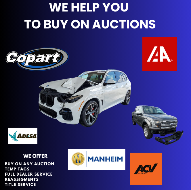 Bidding assistance for dealer-only auto auctions